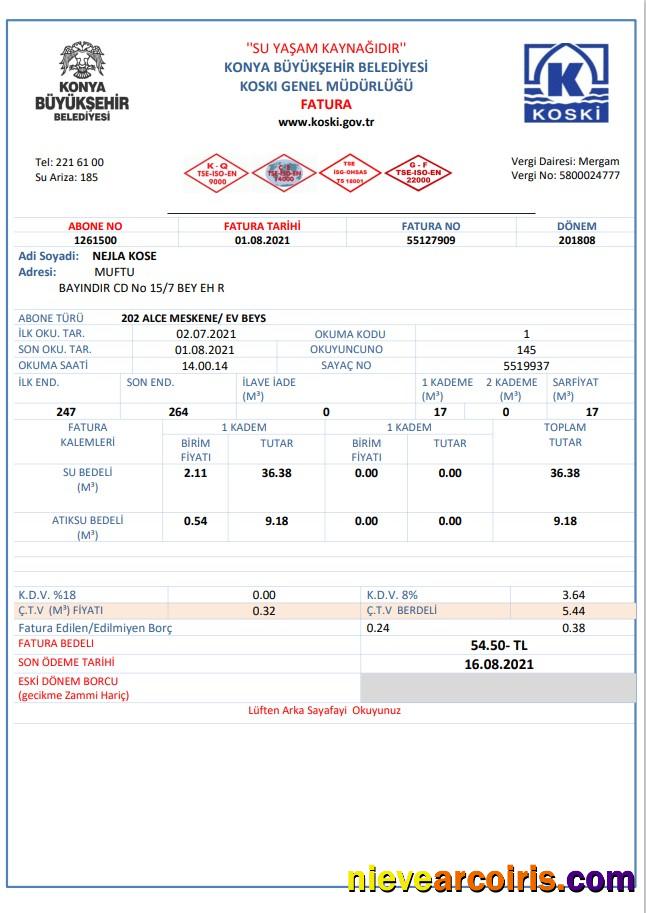 Turkey water utility bill